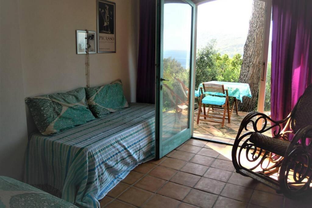 Mini Suite Ulivo Marciana Marina  Exteriér fotografie